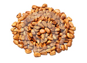 Pine nut