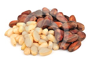 Pine nut