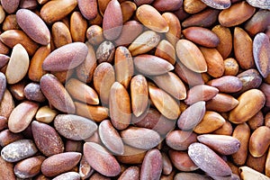 Pine Nut Background