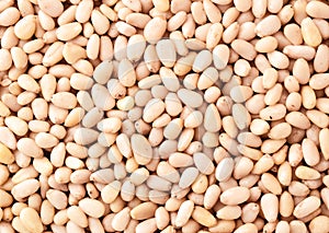 Pine nut background. The view of the top.
