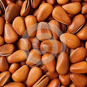 Pine nut