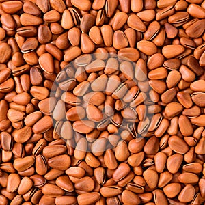 Pine nut