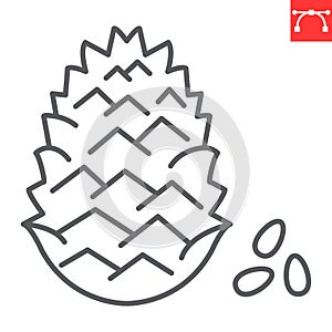 Pine nut line icon