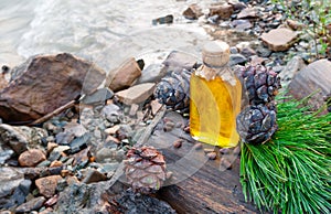 Pine nut oil in a glass bottle. Stands on a tree stump. Nearby are pine cones, branches and nuts. Stones and water background