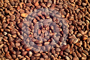 Pine nut pile close-up