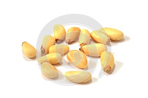Pine nut Pinales