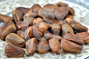 Pine nut Pinales