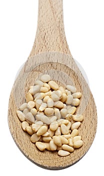 Pine Nut Seeds in a Wooden Spoon