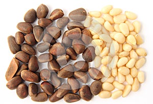 Pine nuts