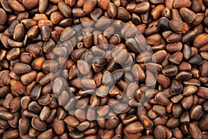 Pine nuts background. Cedar nutlets, close up