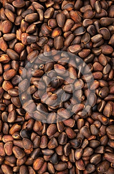 Pine nuts background. Cedar nutlets, close up