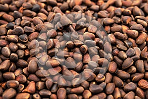Pine nuts background. Cedar nutlets, close up