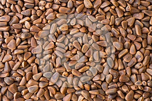 Pine nuts background