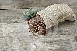 Pine nuts in a bag of burlap on an old vintage background with a fir green branch. In country style