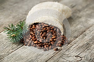 Pine nuts in a bag of burlap on an old vintage background with a fir green branch. In country style