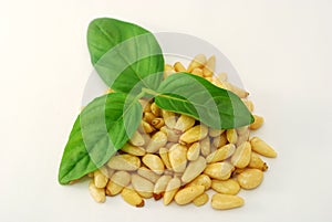 Pine nuts and basil