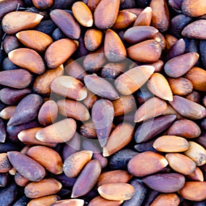 Pine nuts foraged food nature pattern background