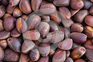 Pine nuts in shells. Background.