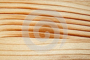 Pine plank with wood grain structure pattern macro view