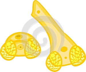 Pine Pollen grain with two sac wing, tube and generative cell