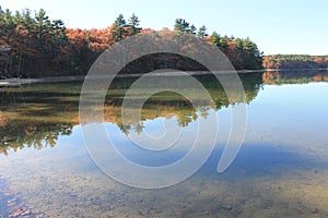 Pine reflections and filtered sunlight in November at Walden Pond. 2015