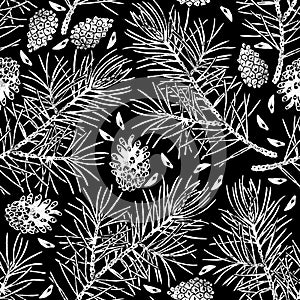 Pine seamless pattern isolated on black. Pinus sylvestris branch, cone, seed.