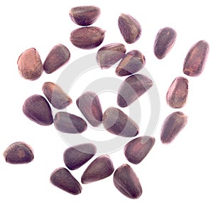Pine seeds isolated
