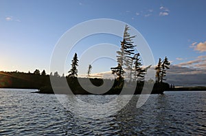 Pine Silhouettes on Algonquin Lake photo