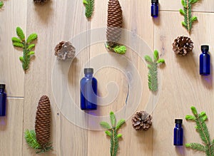 pine and spruce cones and buds aligned with essential oil bottles