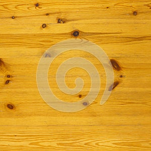Pine timber background