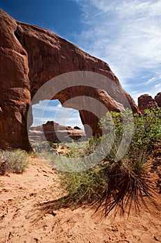 Pine Tree Arch Arches National Park Moab Utah