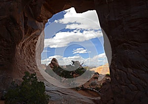 Pine Tree Arch, Arches National Park, Utah, USA