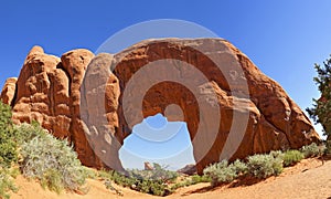 Pine Tree Arch Arches National Park