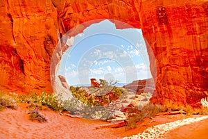 Pine Tree Arch Devils Garden Arches National Park Moab Utah