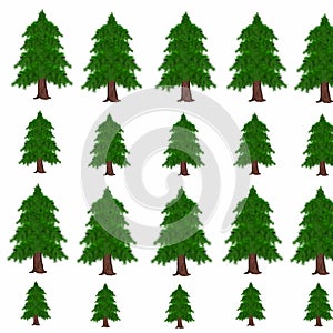 Pine tree background drawing illustration white background