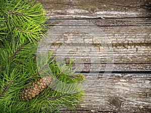 Pine tree branches on vintage wood