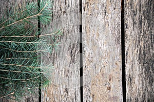 Pine tree branches vintage wood