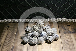 pine tree cones lie on old boards against a dark background.