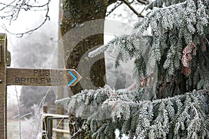 Pine tree covered with hoar frost pointing to a public bridelway signpost