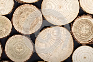 Pine tree cross-sections with annual rings on black background. Lumber piece close-up, top view.