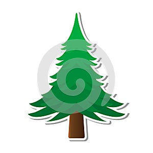 Pine tree design vector flat isolated illustration