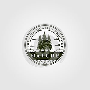 Pine tree emblem vector illustration design, vintage spruce badge design