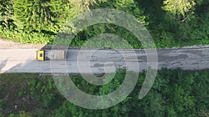 pine tree forest with a curvy country road on a fresh summer morning with mist and fog