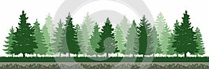 Pine Tree Forest Environment 