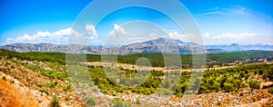 Pine tree forest and mountain range landscape  taken from Mount Srd