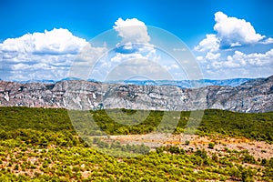 Pine tree forest and mountain range landscape  taken from Mount Srd