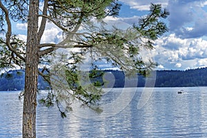 Pine Tree House Boat Reflection Lake Coeur d` Alene Idaho