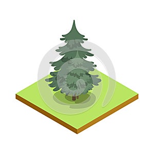 Pine tree isometric 3D icon