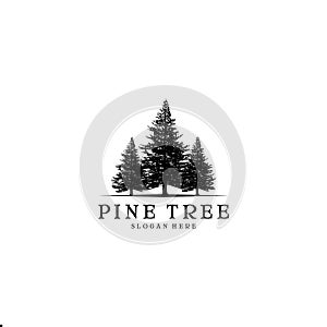 Pine tree Logo design inspiration photo