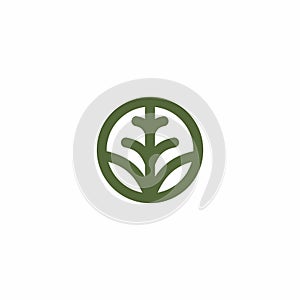 Pine Tree Logo Design. Pine Line Icon